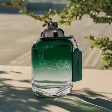 GREEN EDT 100ML