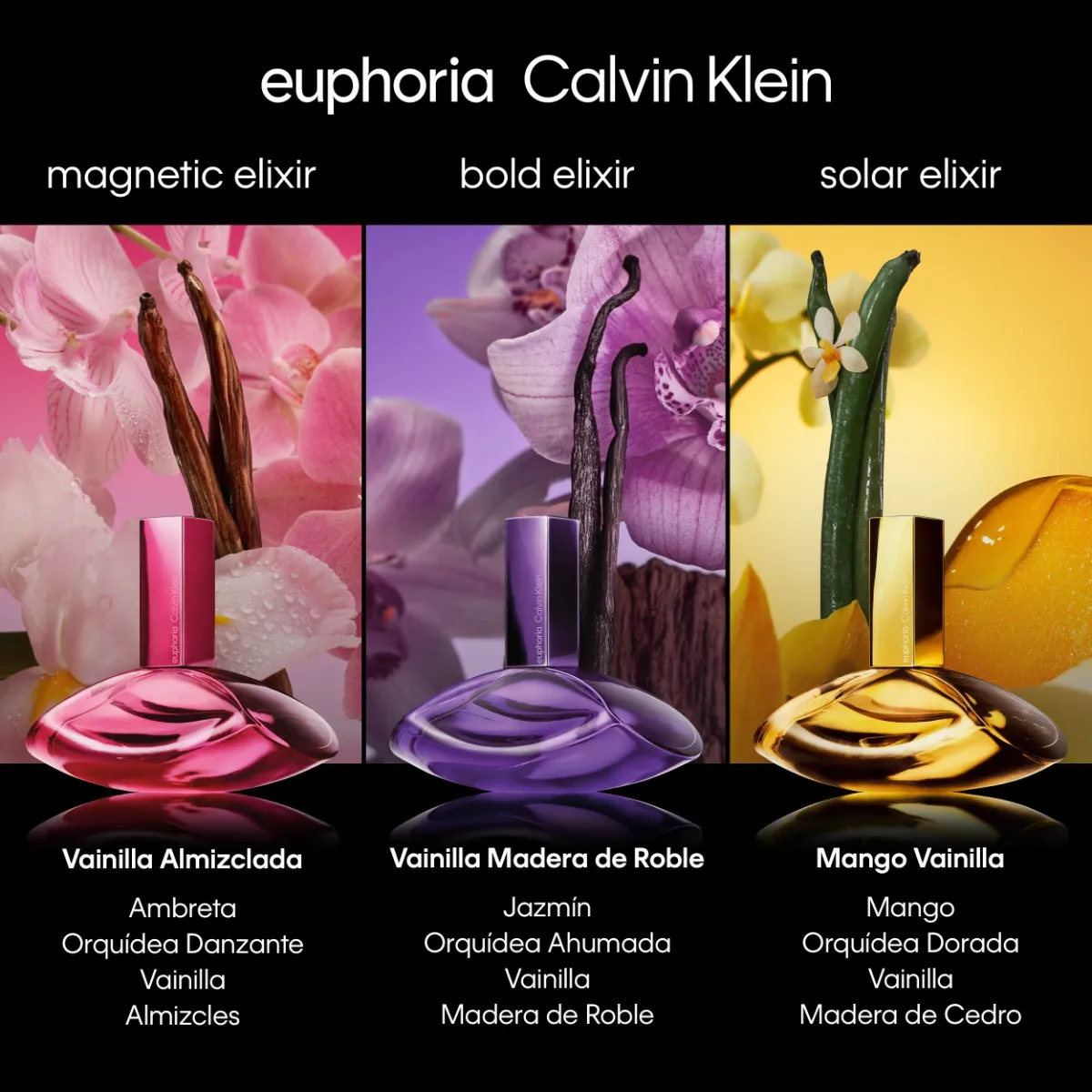 EUPHORIA BOLD ELXIR EDP 100ML