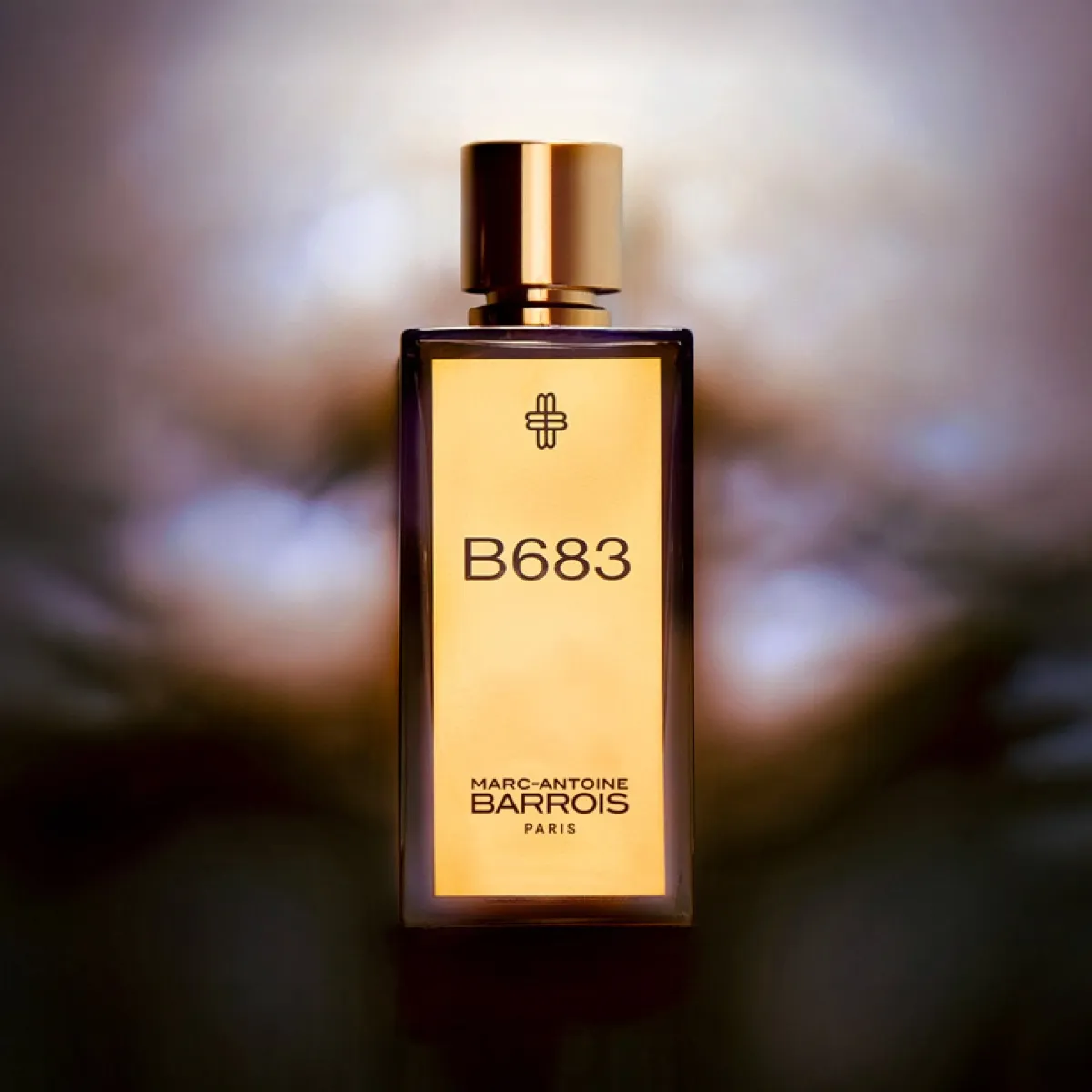 B683 -100 mL