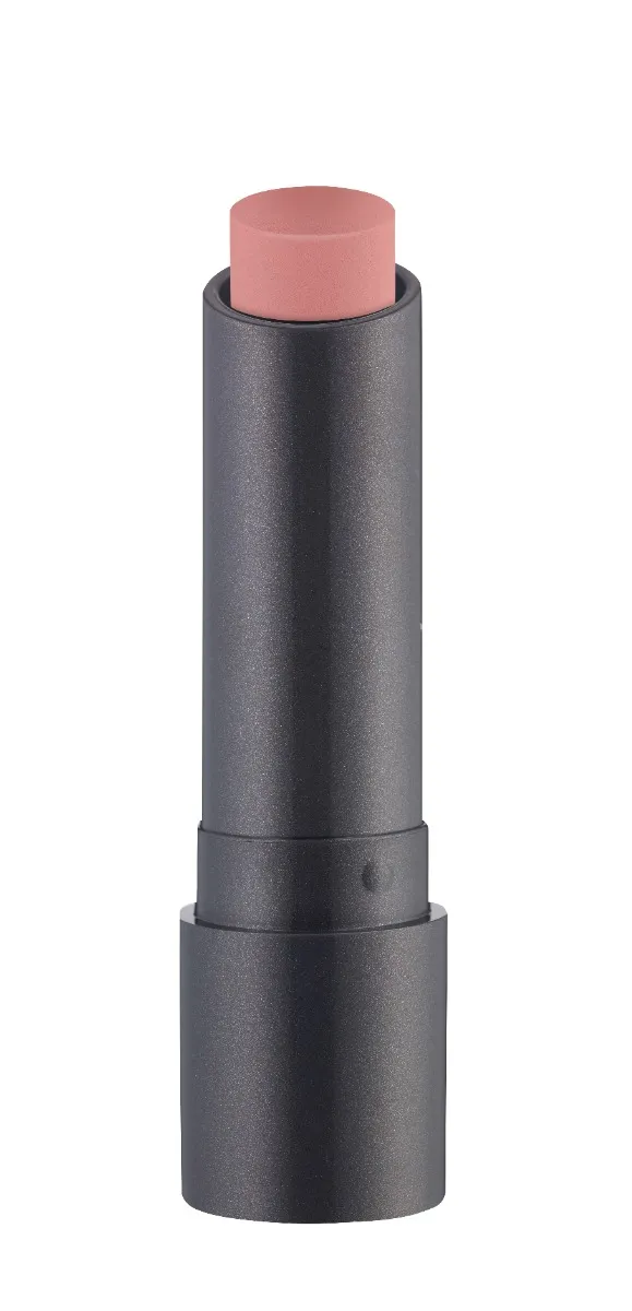 PERFECT matte lipstick 04
