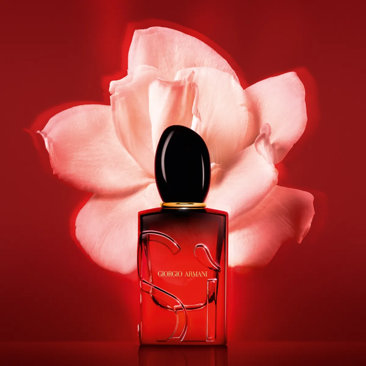 Sì Passione Eau de Parfum Intense