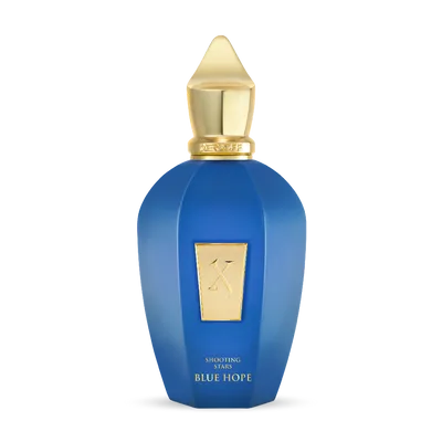 Blue Hope 100ml Parfum