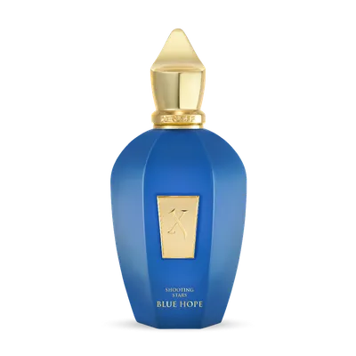 Blue Hope 100ml Parfum