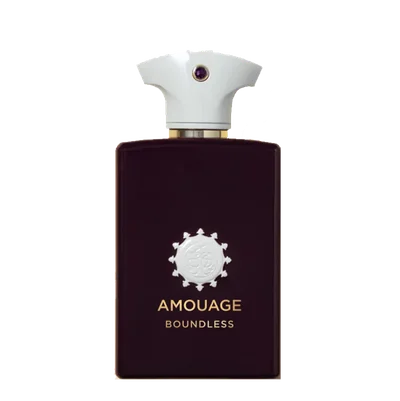 Purpose 100ml EDP