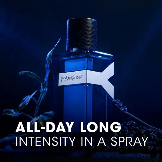 Yves saint laurent y intense outlet